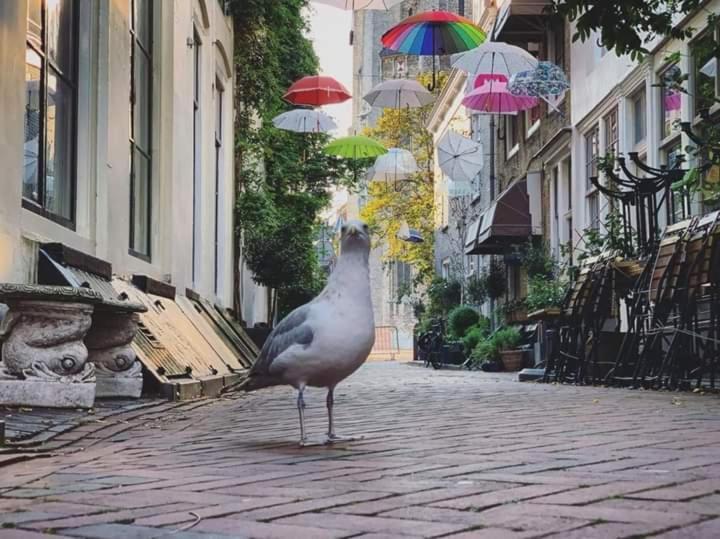 Appartement De Croone Middelburg Eksteriør billede